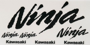 가와사키(Kawasaki) 정품 닌자 KAWASAKI 카울데칼 엠블램 마크 좌우